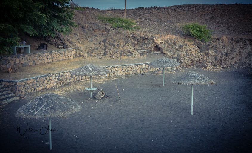 Parasols de plage en paille, sable sombre, lumière de fin de journée